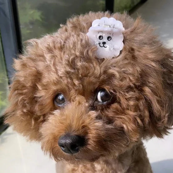 Bichon Mini Hair Claw