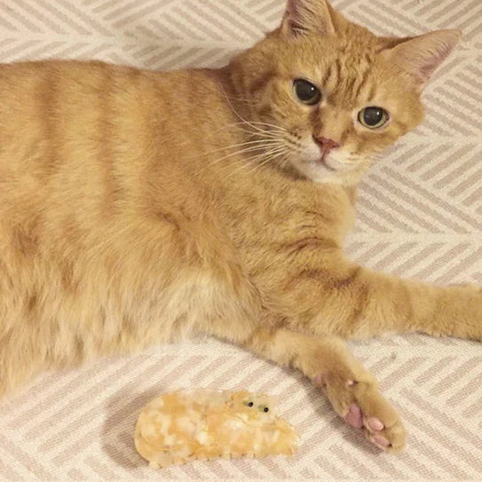 Ginger Cat Hair Claw