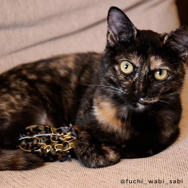 Tortoiseshell Cat Hair Claw