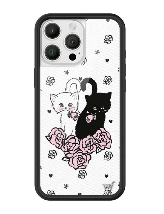 Kittens