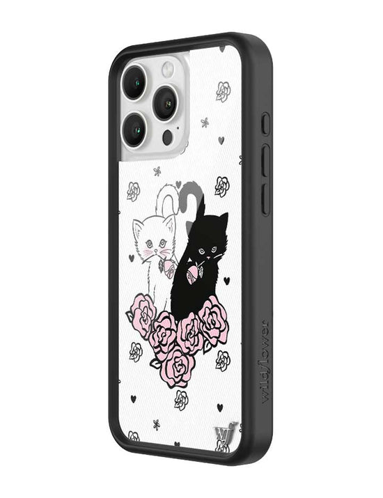 Kittens