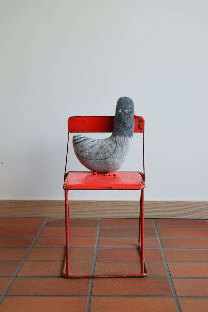 Paddy Pigeon