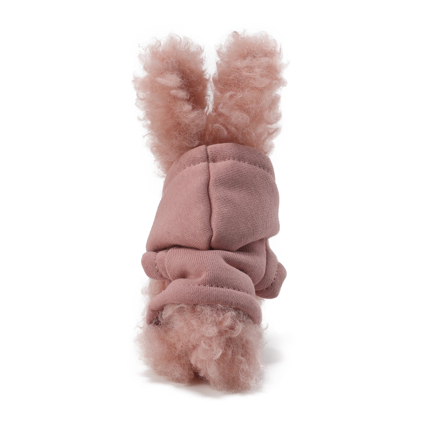 SFSG Pink scribbled puppy wearing a sweatshirt