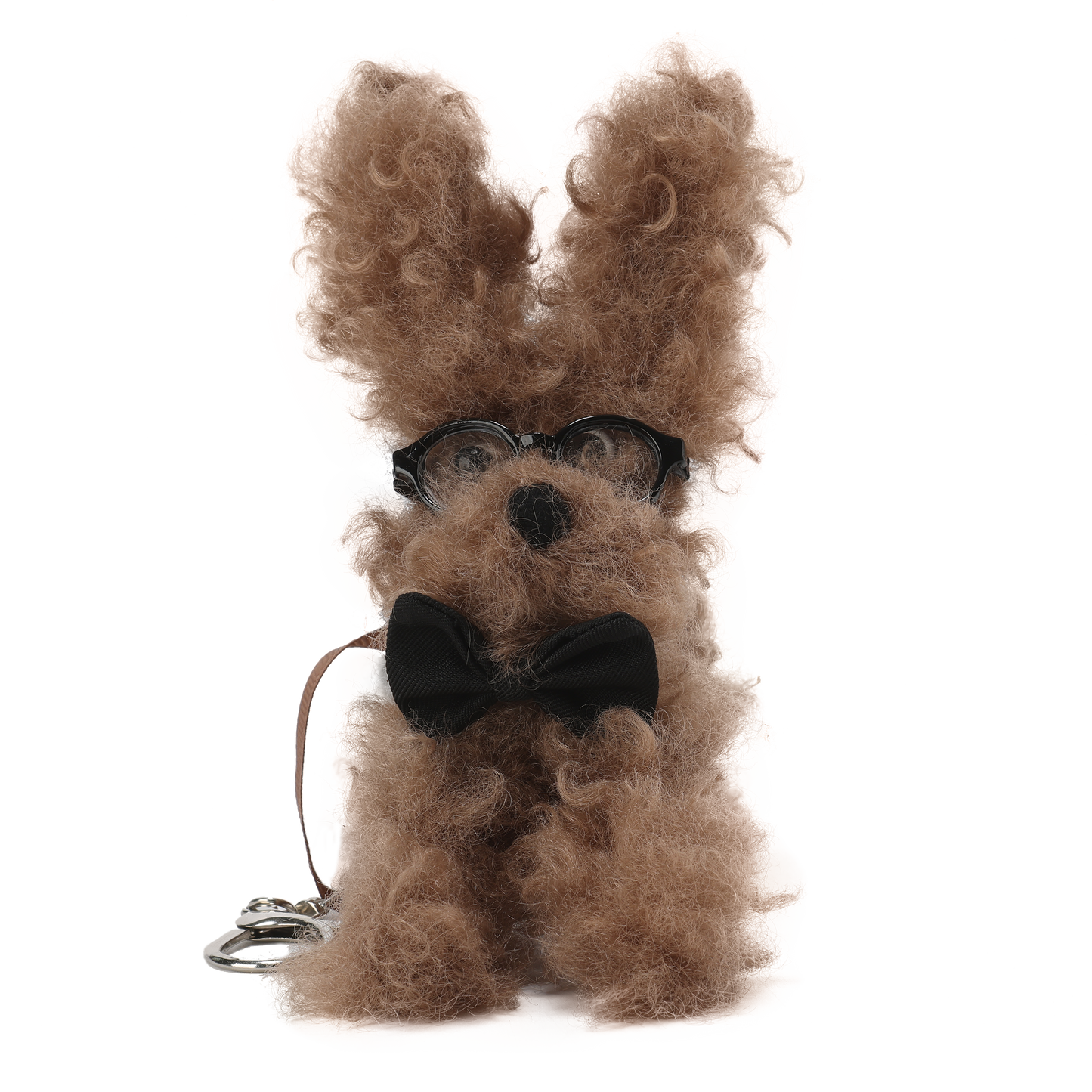 Chiot griffonné marron SFSG avec nœud papillon