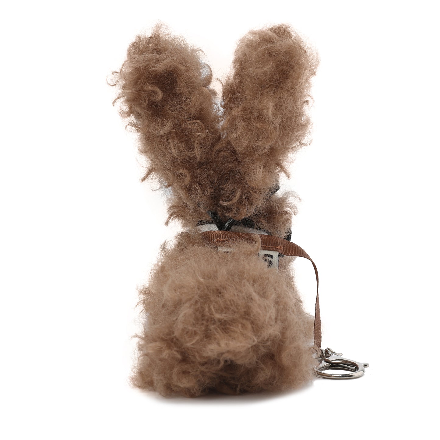 Chiot griffonné marron SFSG avec nœud papillon