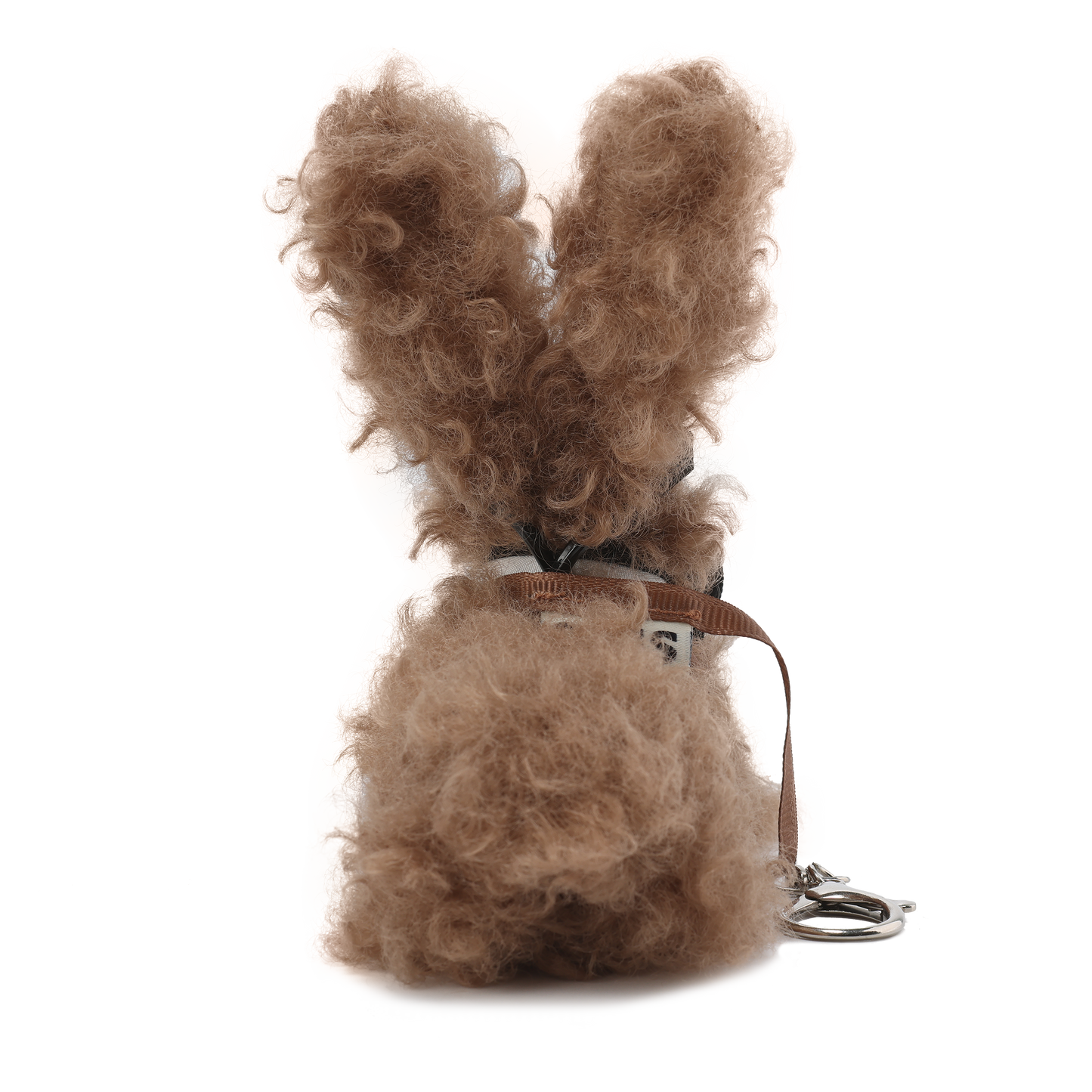 Chiot griffonné marron SFSG avec nœud papillon