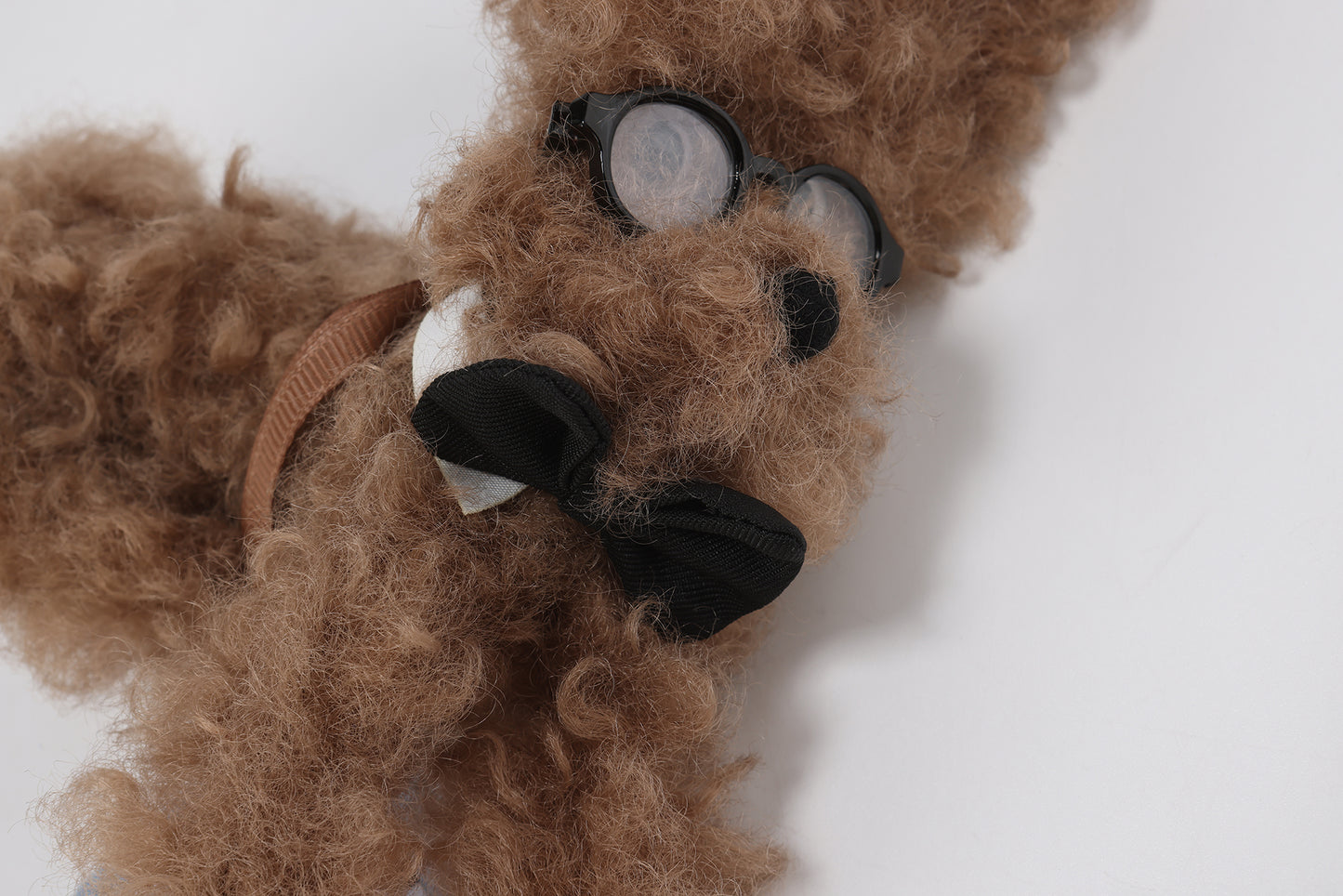 Chiot griffonné marron SFSG avec nœud papillon
