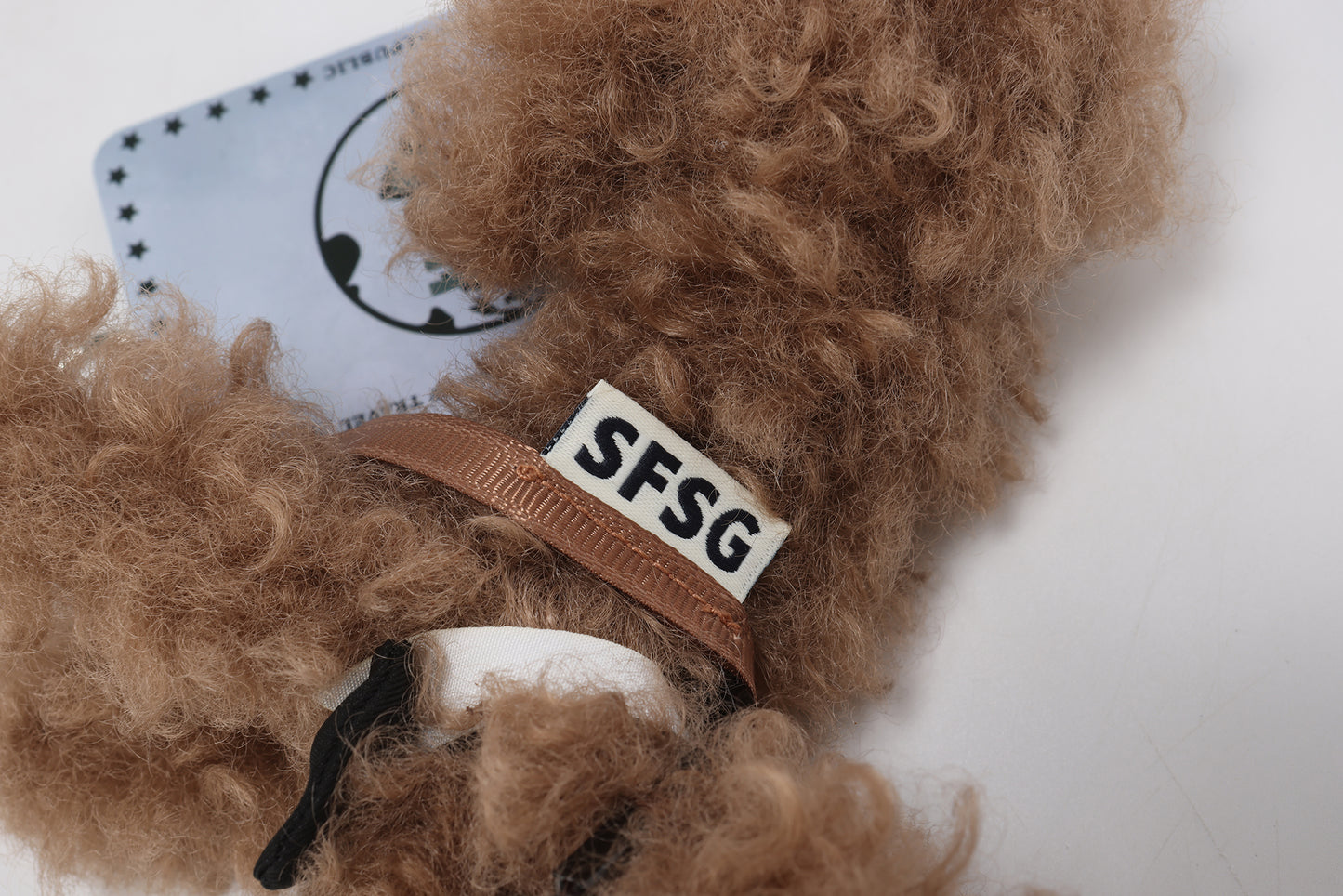 Chiot griffonné marron SFSG avec nœud papillon