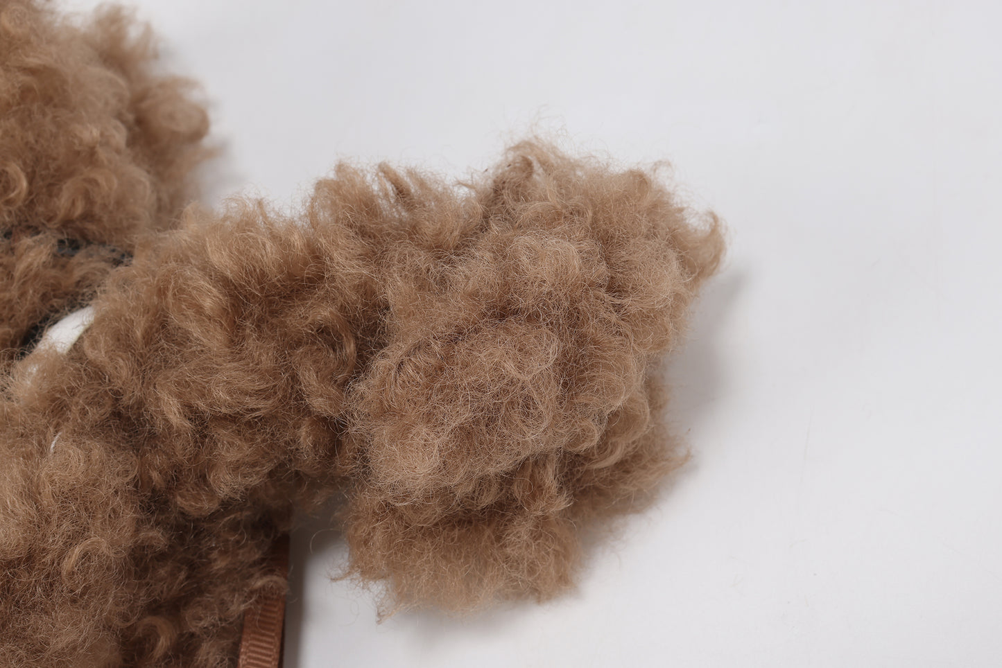 Chiot griffonné marron SFSG avec nœud papillon