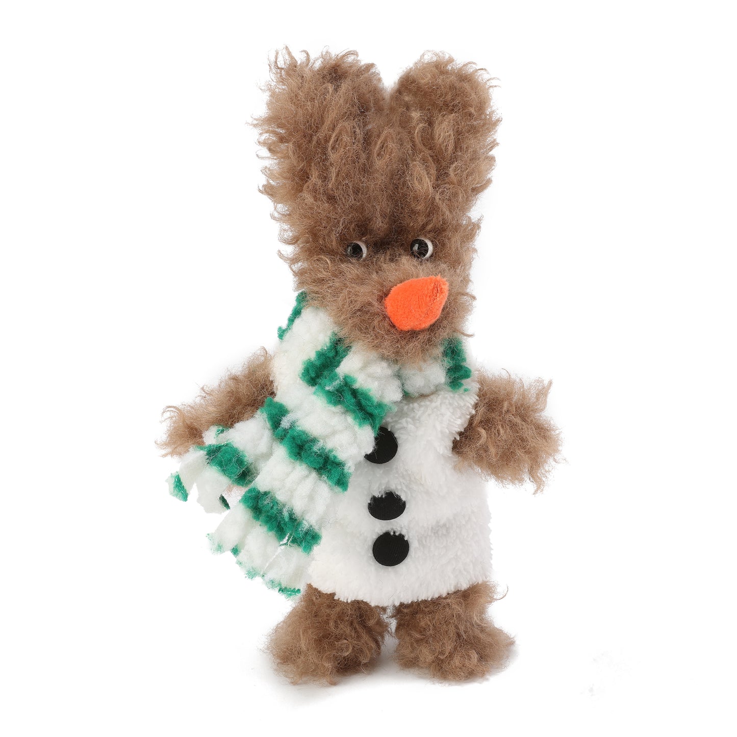 Chiot SFSG Brown Yeti griffonné