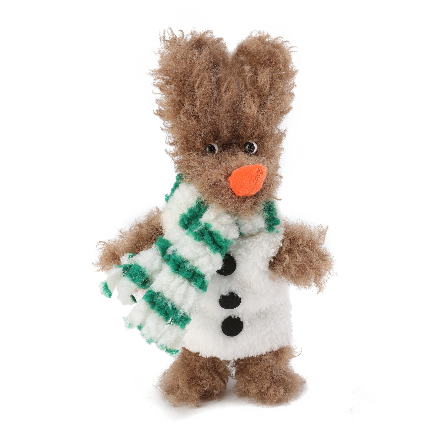 Chiot SFSG Brown Yeti griffonné