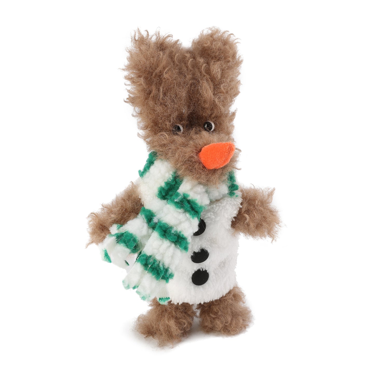 Chiot SFSG Brown Yeti griffonné