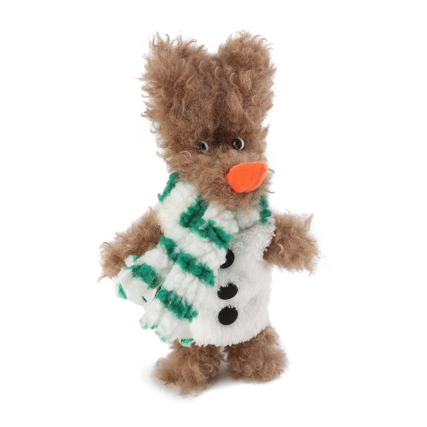 Chiot SFSG Brown Yeti griffonné