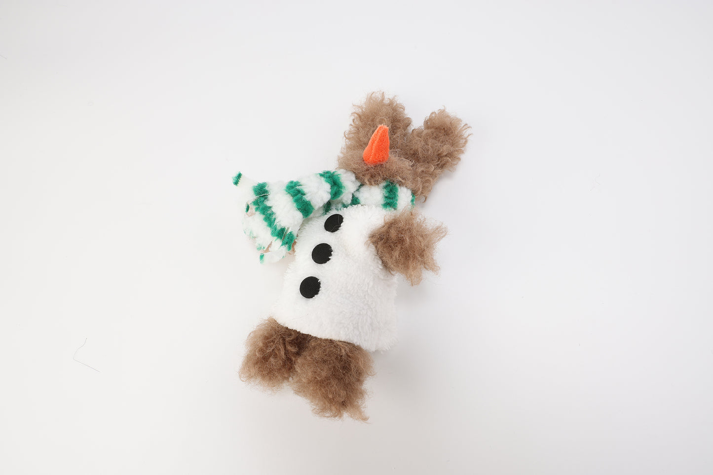 Chiot SFSG Brown Yeti griffonné