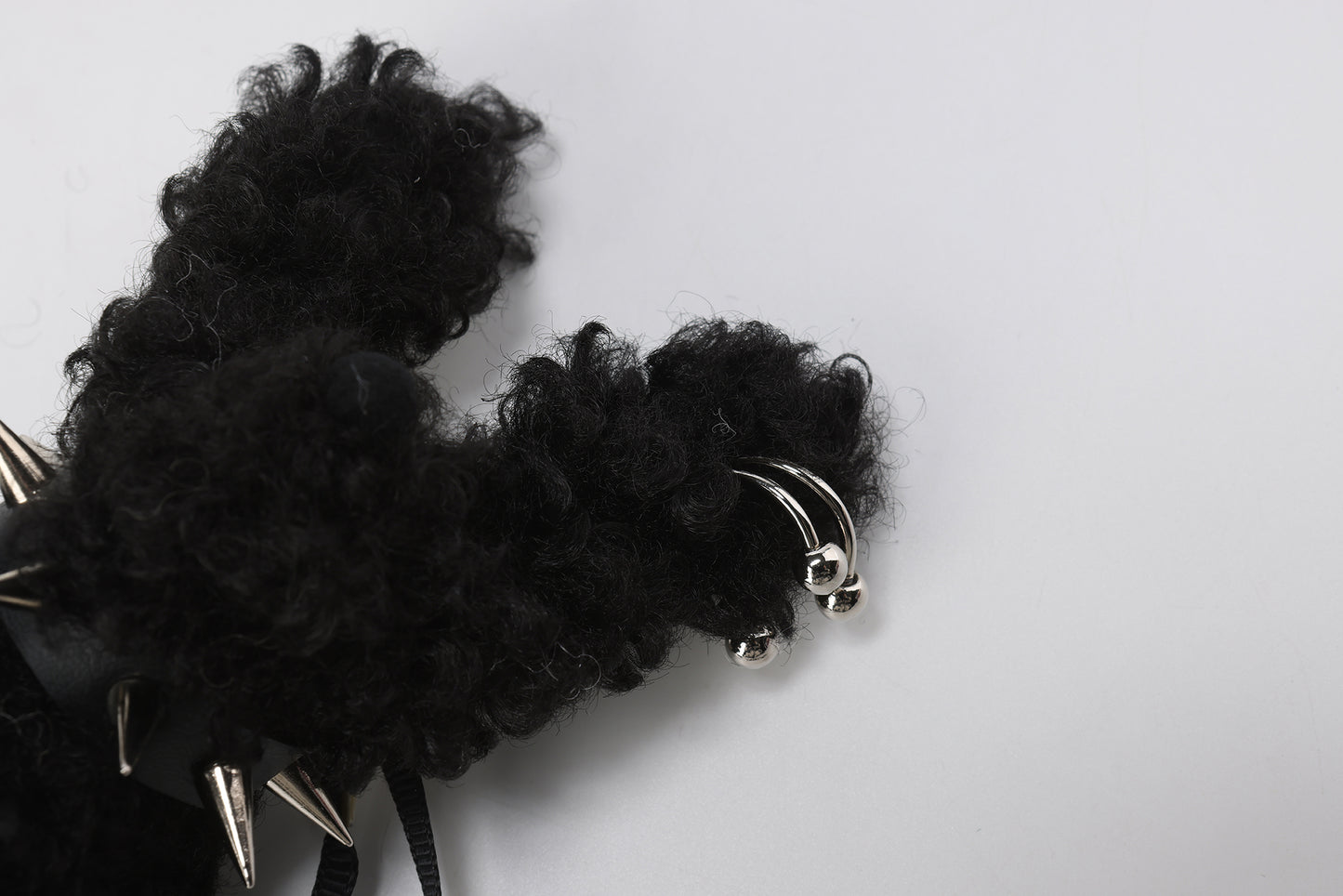 SFSG Scraggly puppy with a collar