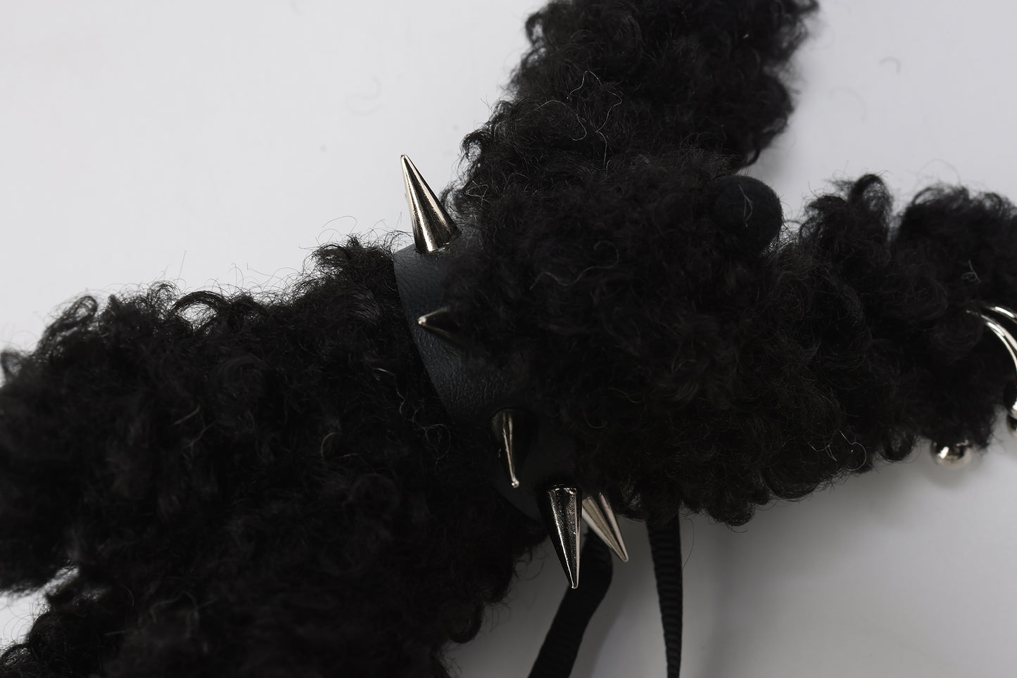 SFSG Scraggly puppy with a collar