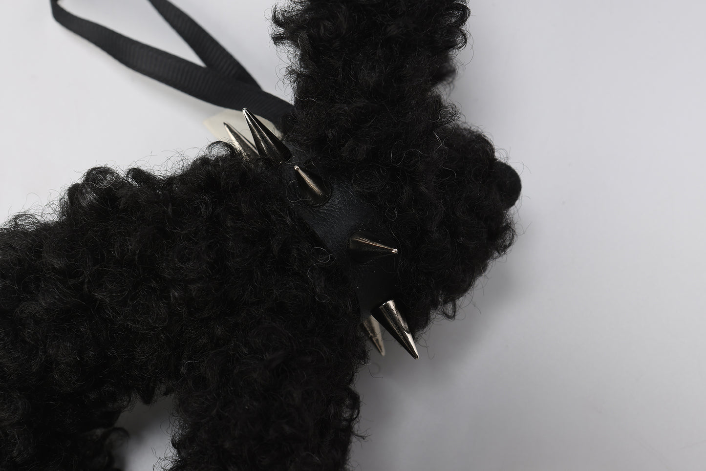 SFSG Scraggly puppy with a collar