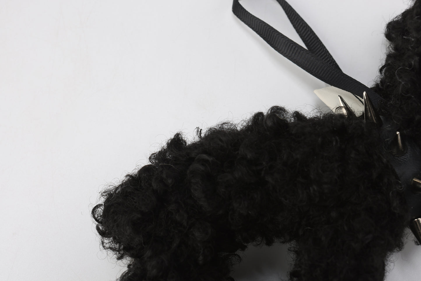 SFSG Scraggly puppy with a collar