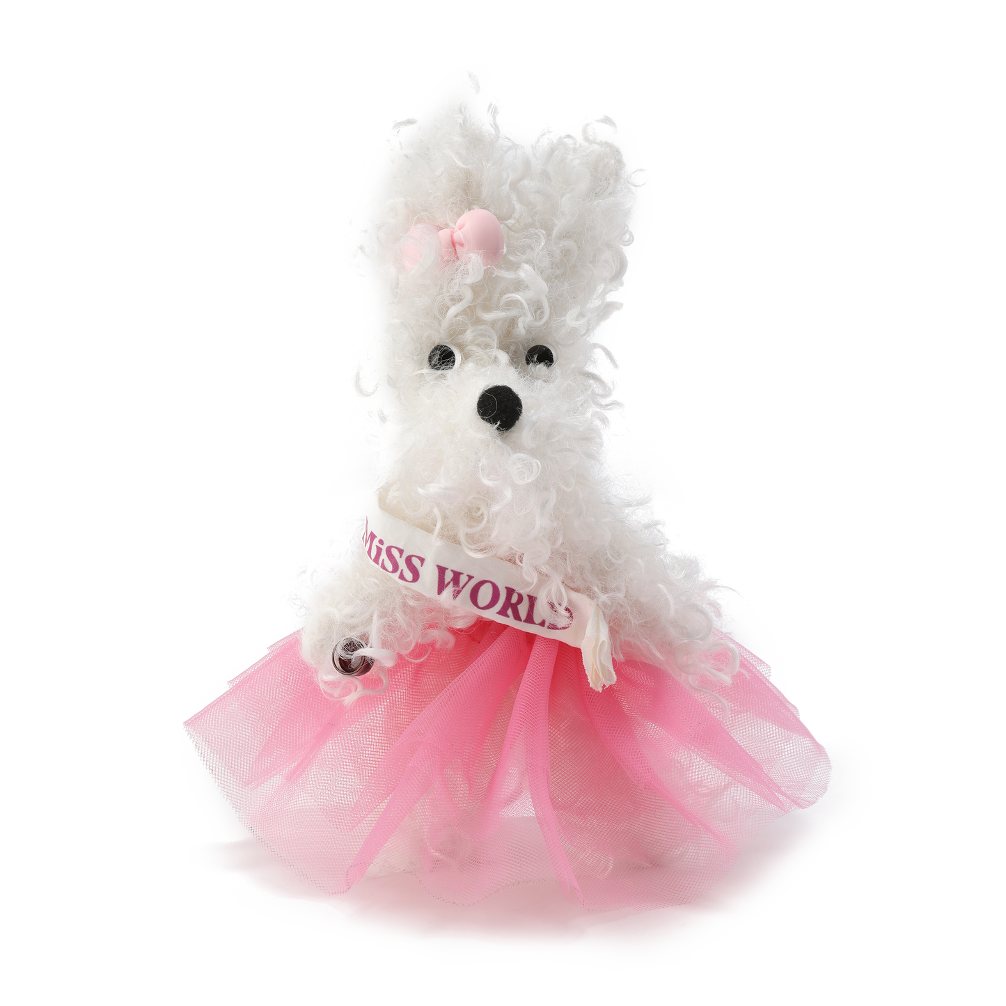 Chiot griffonné Miss Monde blanche SFSG