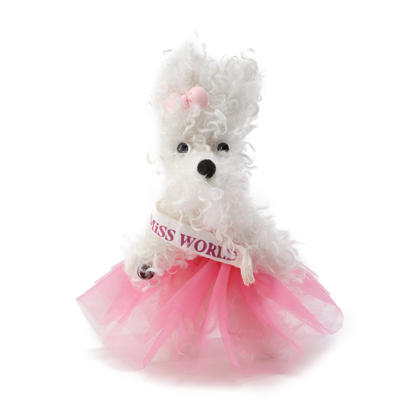 Chiot griffonné Miss Monde blanche SFSG