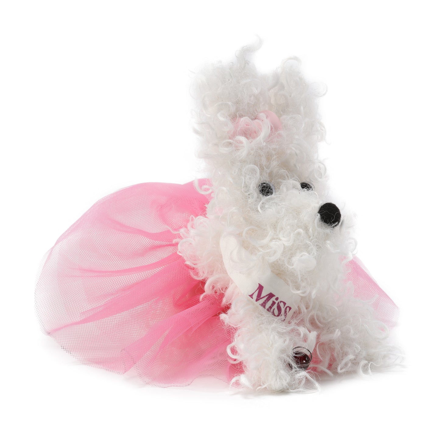 Chiot griffonné Miss Monde blanche SFSG