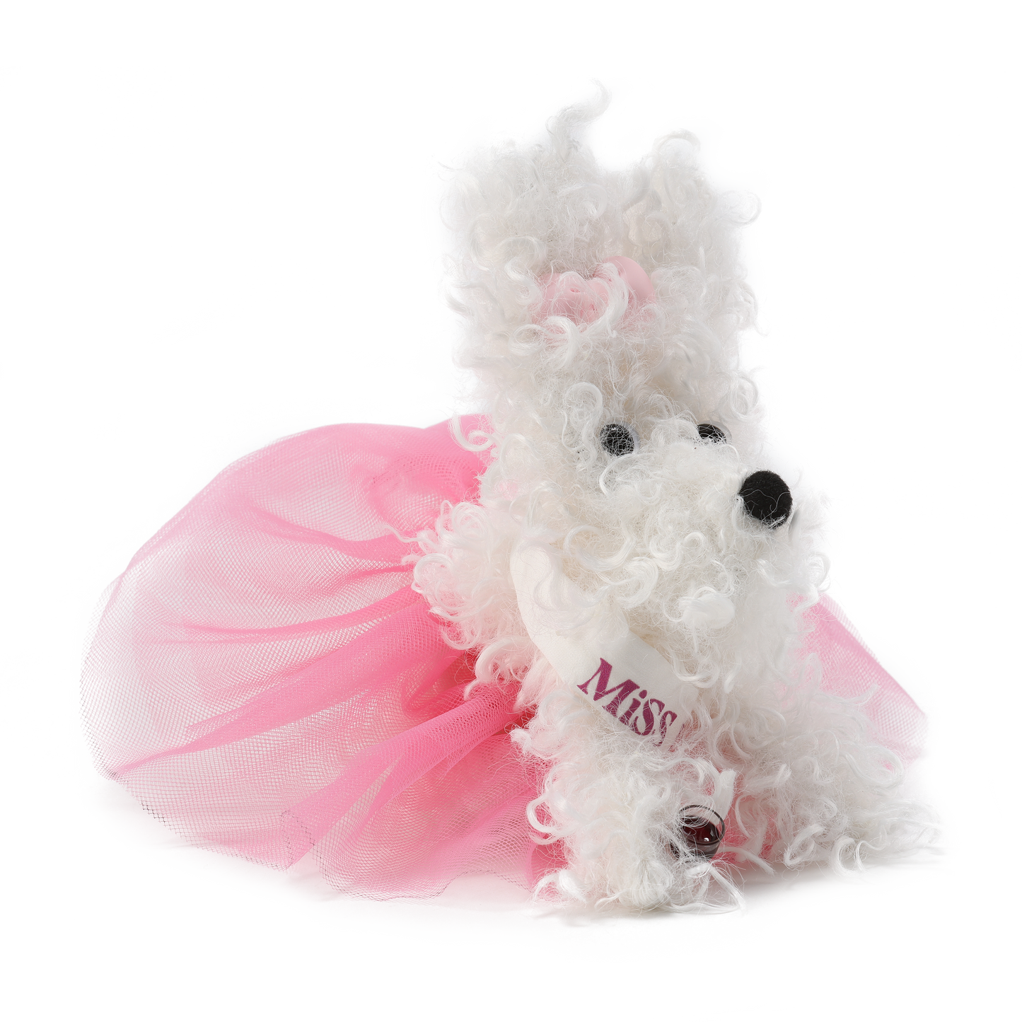 Chiot griffonné Miss Monde blanche SFSG