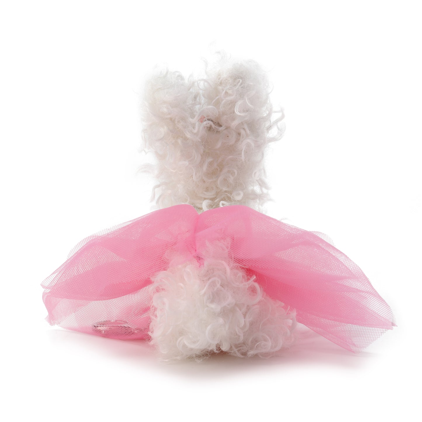 Chiot griffonné Miss Monde blanche SFSG