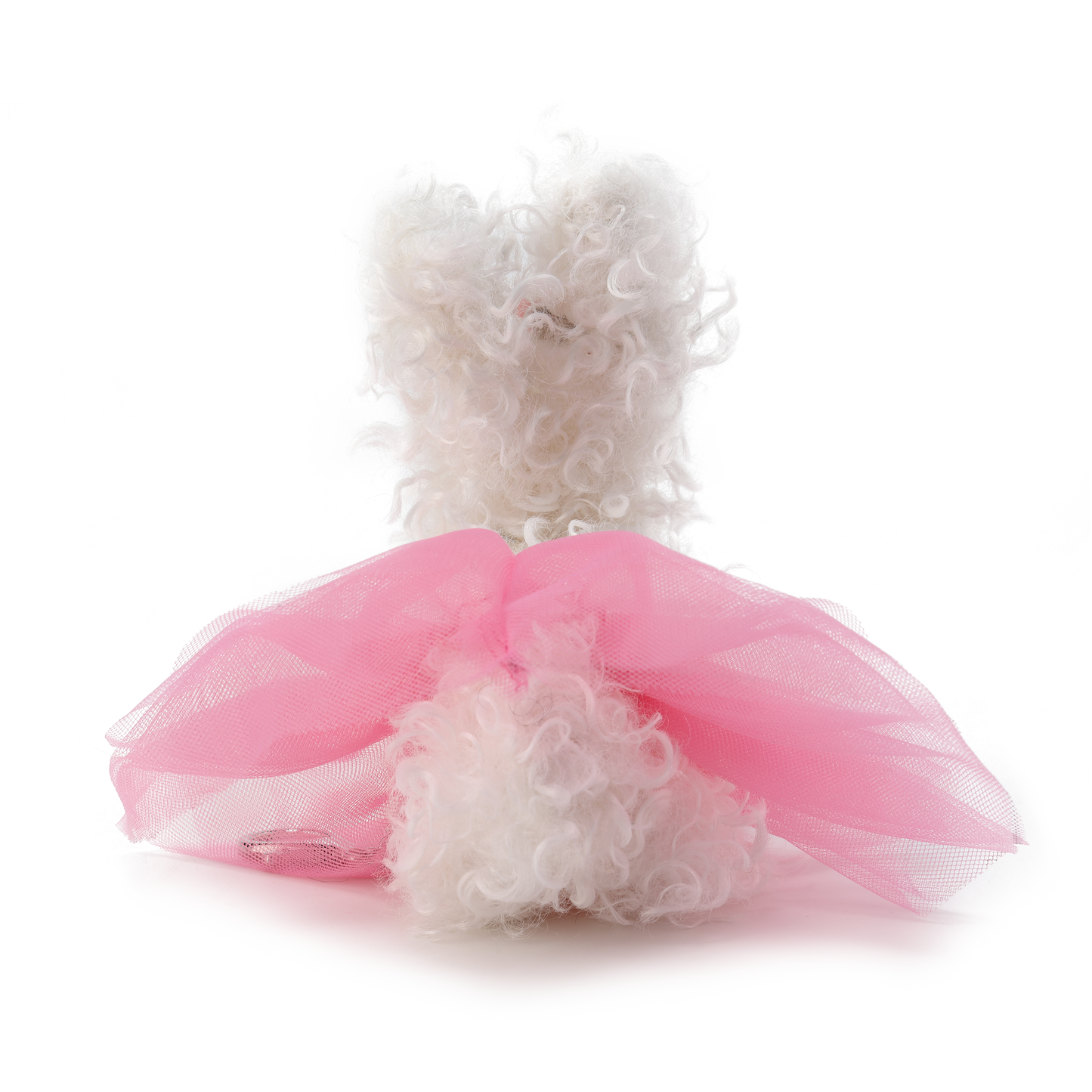 Chiot griffonné Miss Monde blanche SFSG