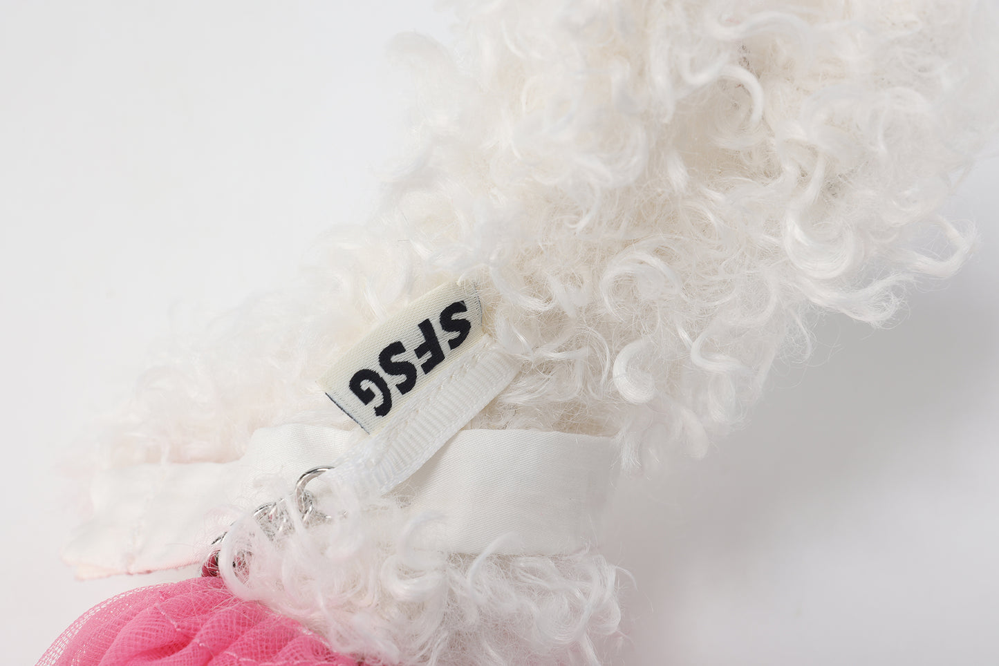 Chiot griffonné Miss Monde blanche SFSG