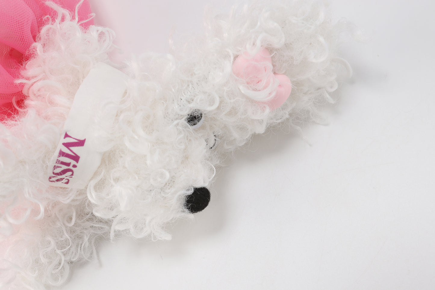 Chiot griffonné Miss Monde blanche SFSG