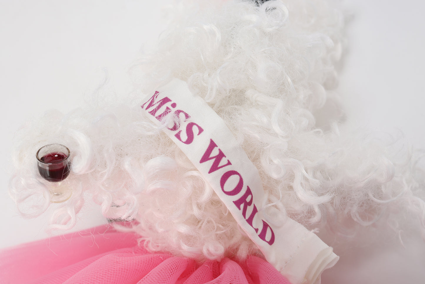Chiot griffonné Miss Monde blanche SFSG