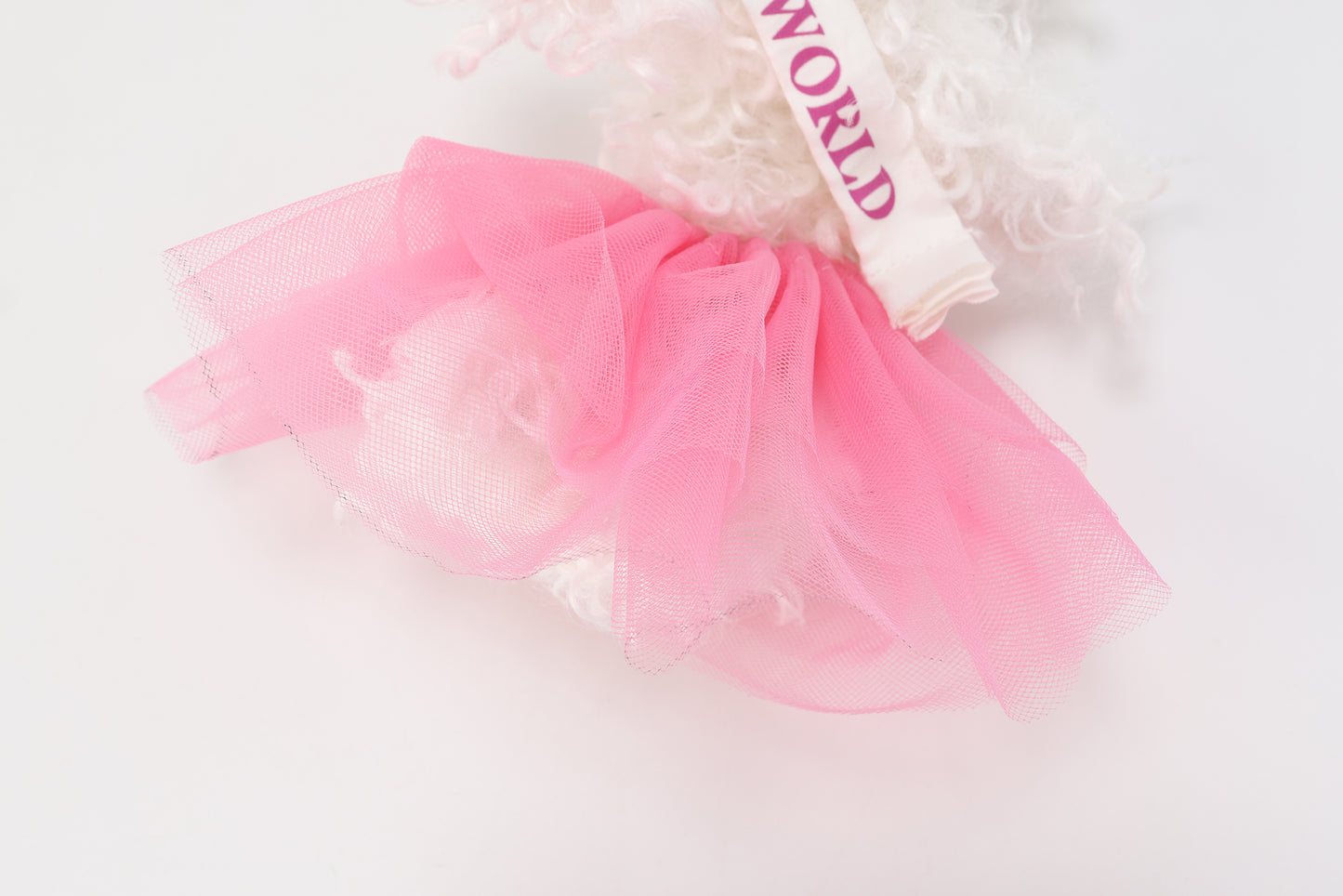 Chiot griffonné Miss Monde blanche SFSG