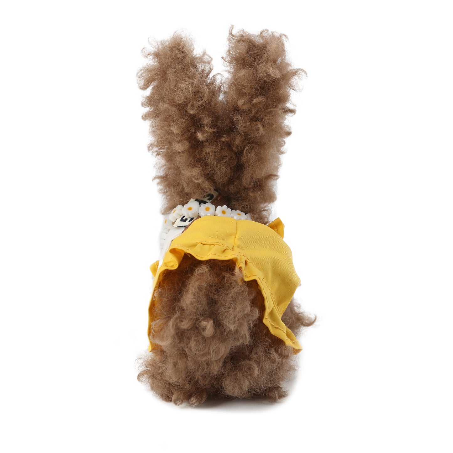 SFSG Brown Miss World Scribbled Puppy