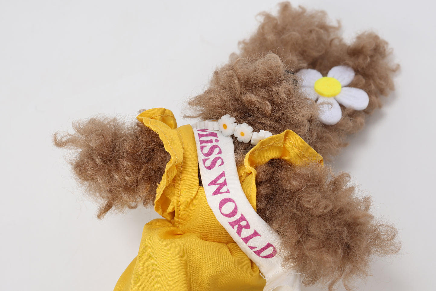 SFSG Brown Miss World Scribbled Puppy
