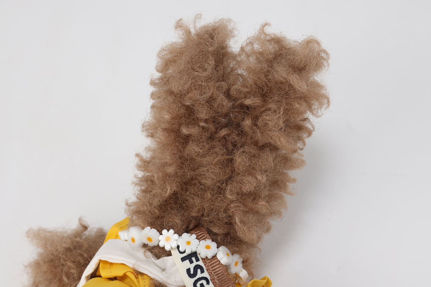 SFSG Brown Miss World Scribbled Puppy