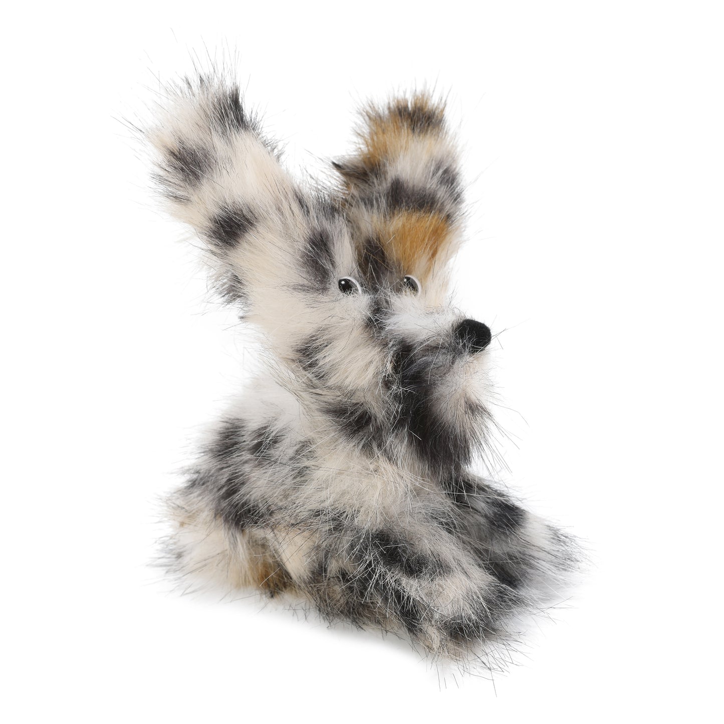 Chiot griffonné à imprimé léopard SFSG