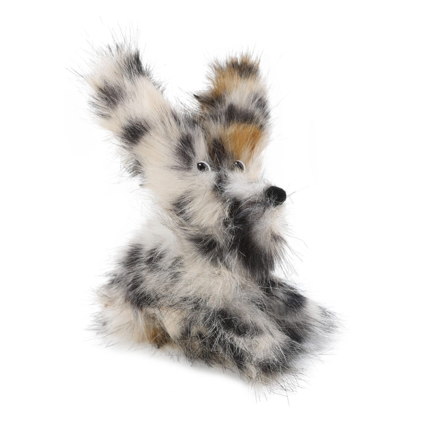 Chiot griffonné à imprimé léopard SFSG