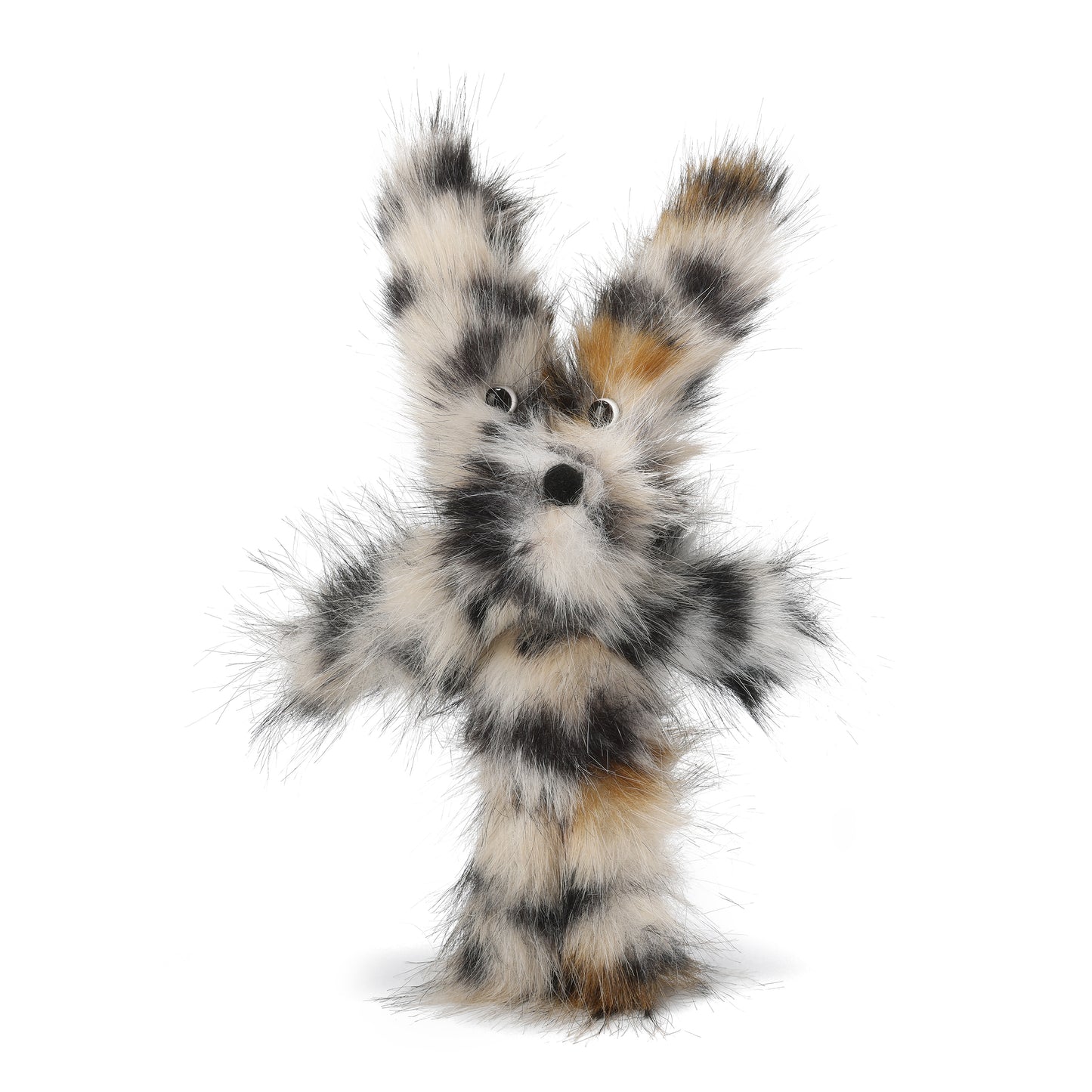 Chiot griffonné à imprimé léopard SFSG