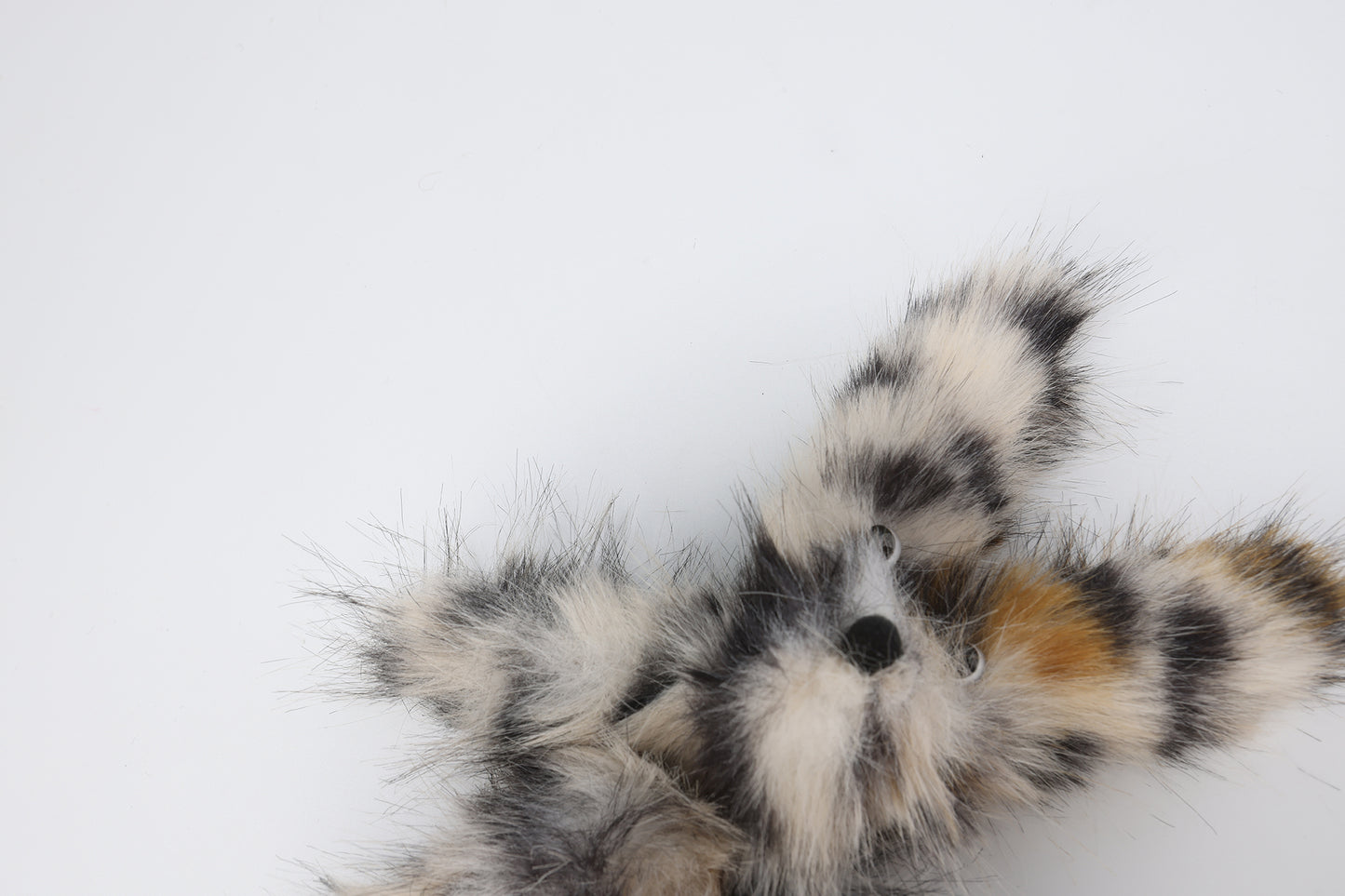 Chiot griffonné à imprimé léopard SFSG
