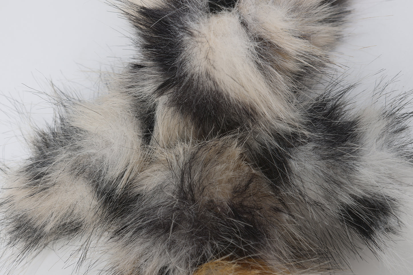 Chiot griffonné à imprimé léopard SFSG