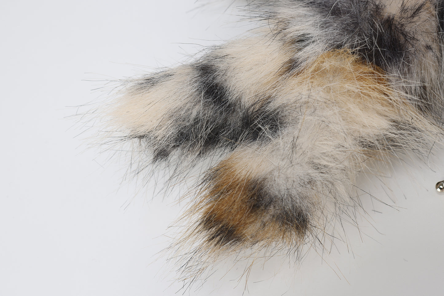 Chiot griffonné à imprimé léopard SFSG