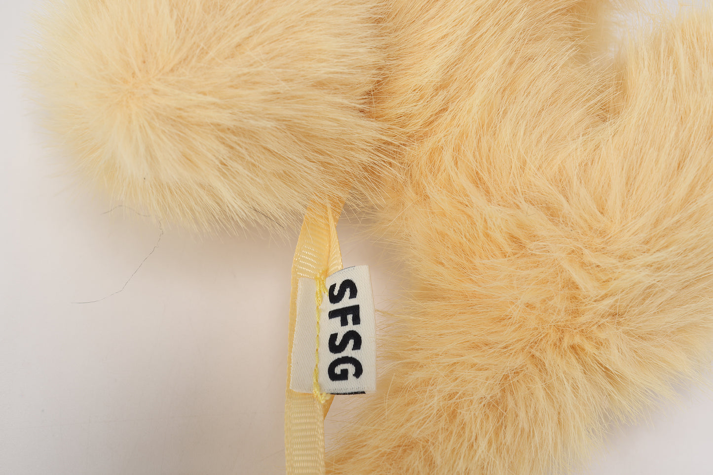 SFSG Yellow shorthair scraggly kitten