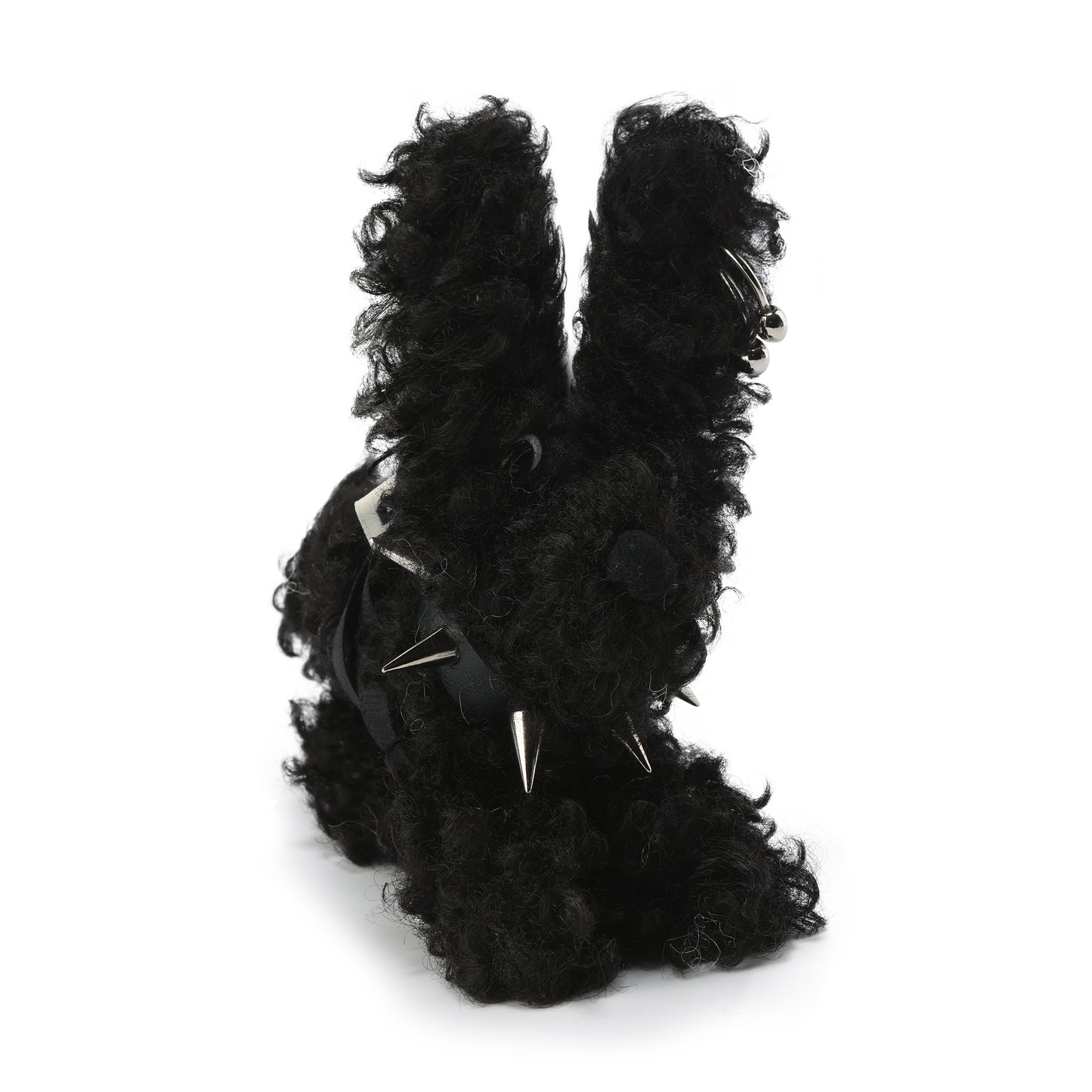 SFSG Scraggly puppy with a collar