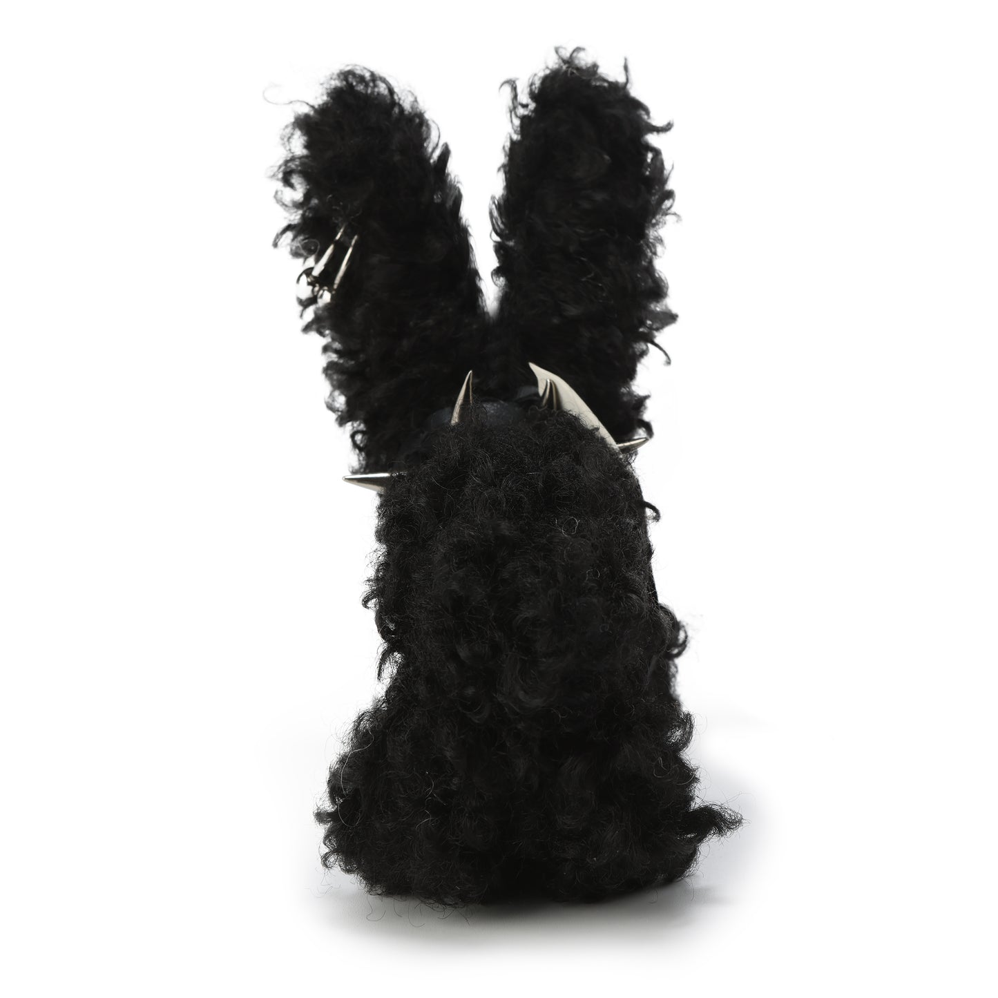SFSG Scraggly puppy with a collar