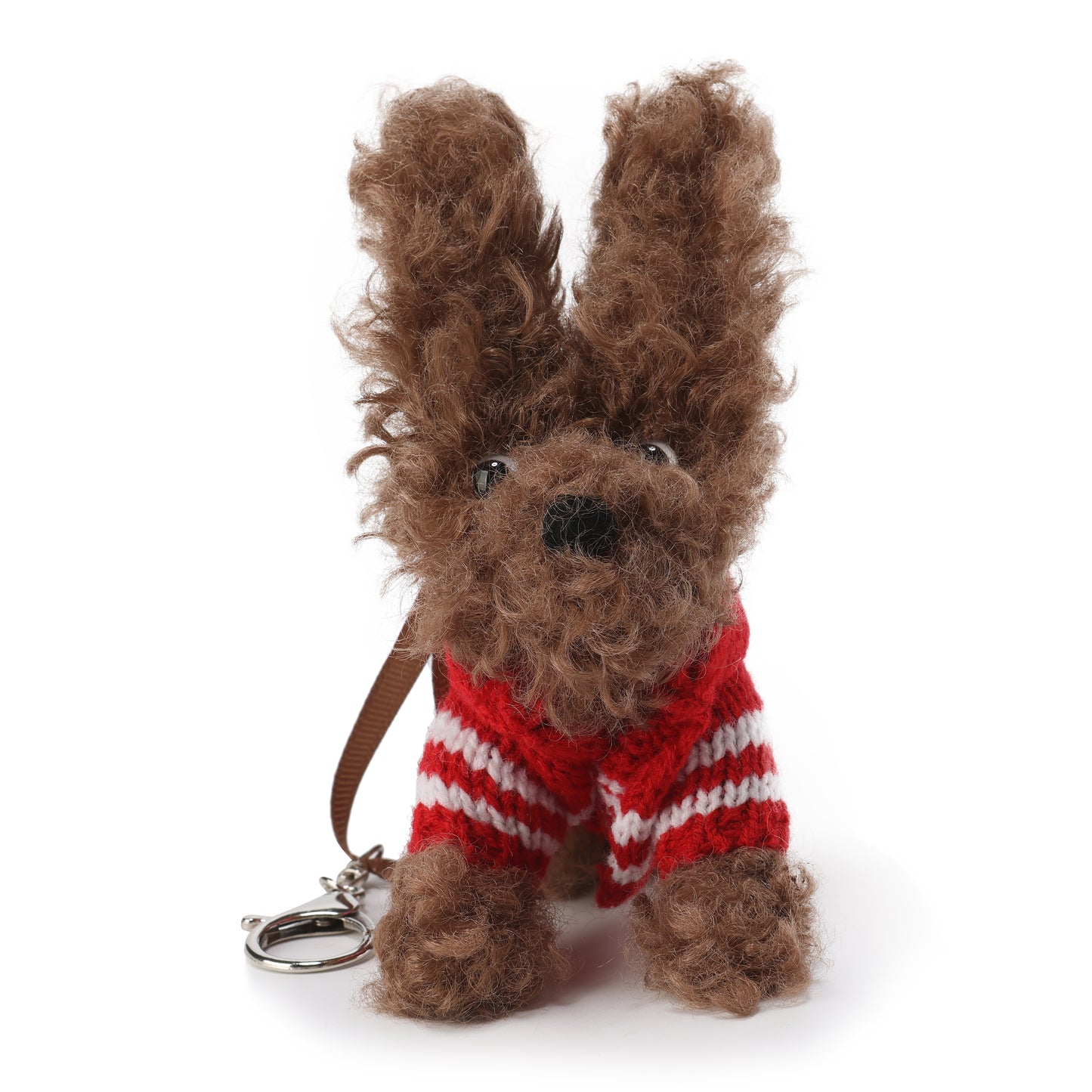 Chiot griffonné marron SFSG portant un pull rouge