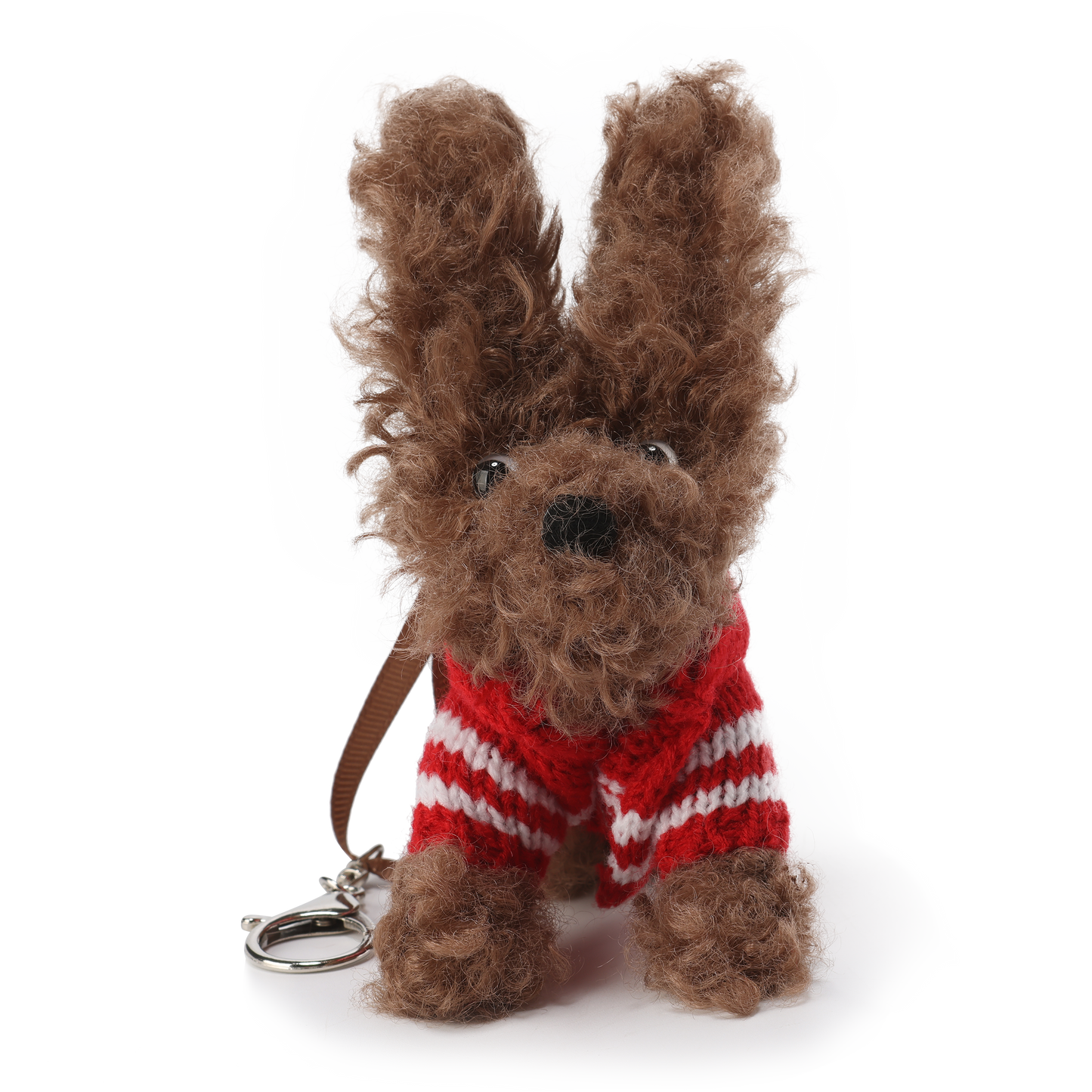 Chiot griffonné marron SFSG portant un pull rouge