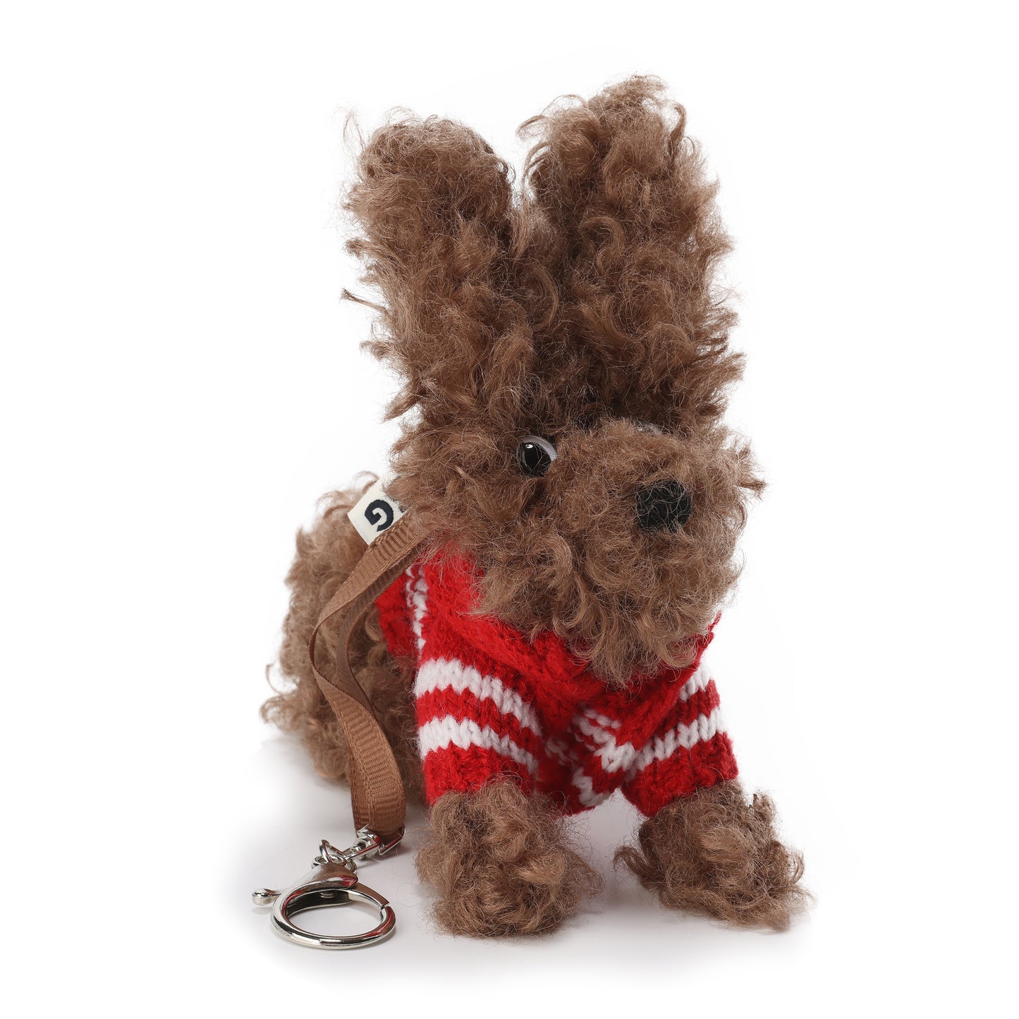 Chiot griffonné marron SFSG portant un pull rouge