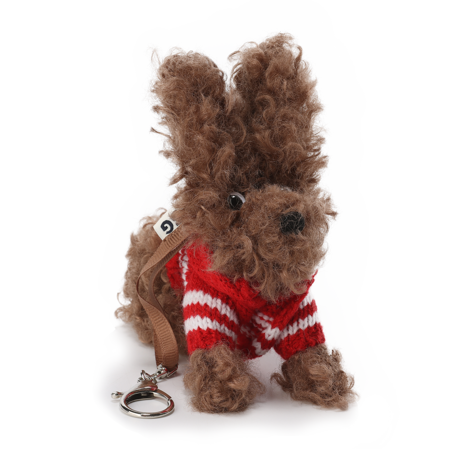 Chiot griffonné marron SFSG portant un pull rouge