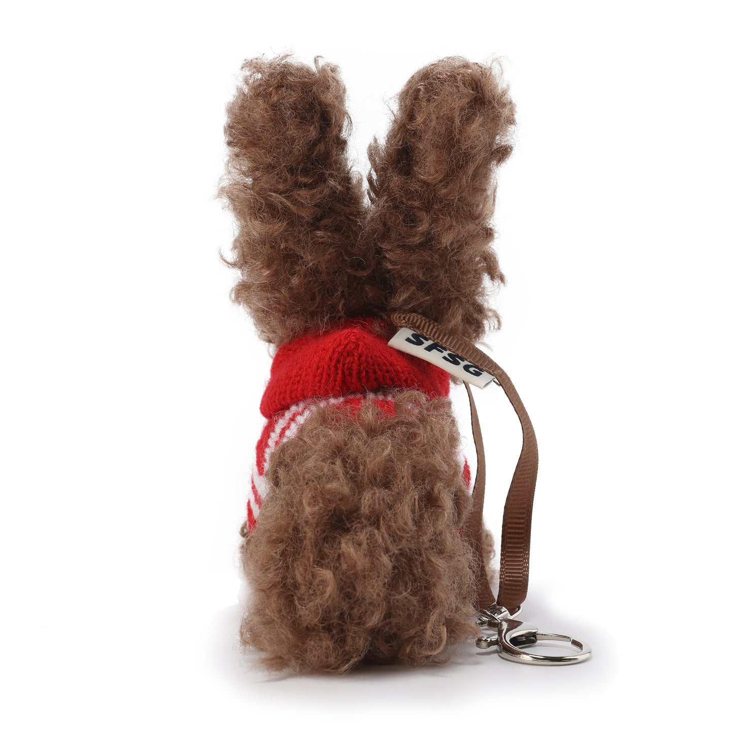 Chiot griffonné marron SFSG portant un pull rouge