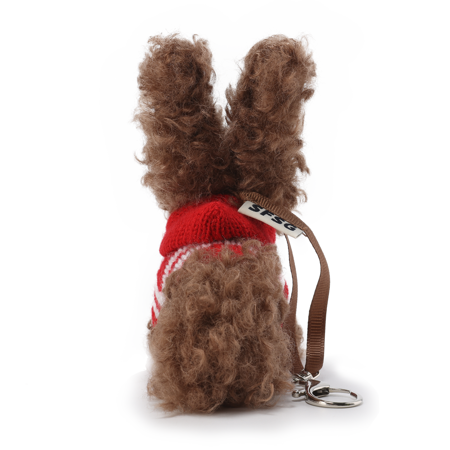 Chiot griffonné marron SFSG portant un pull rouge